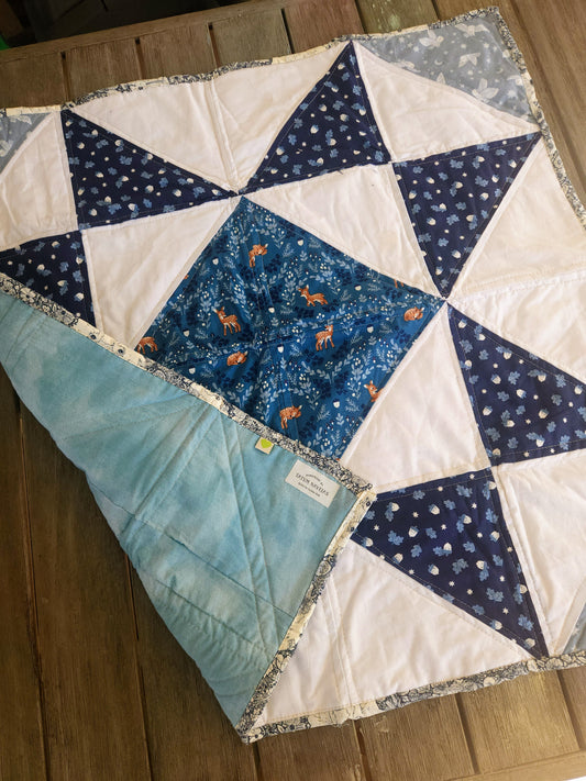 Winter Baby Quilt